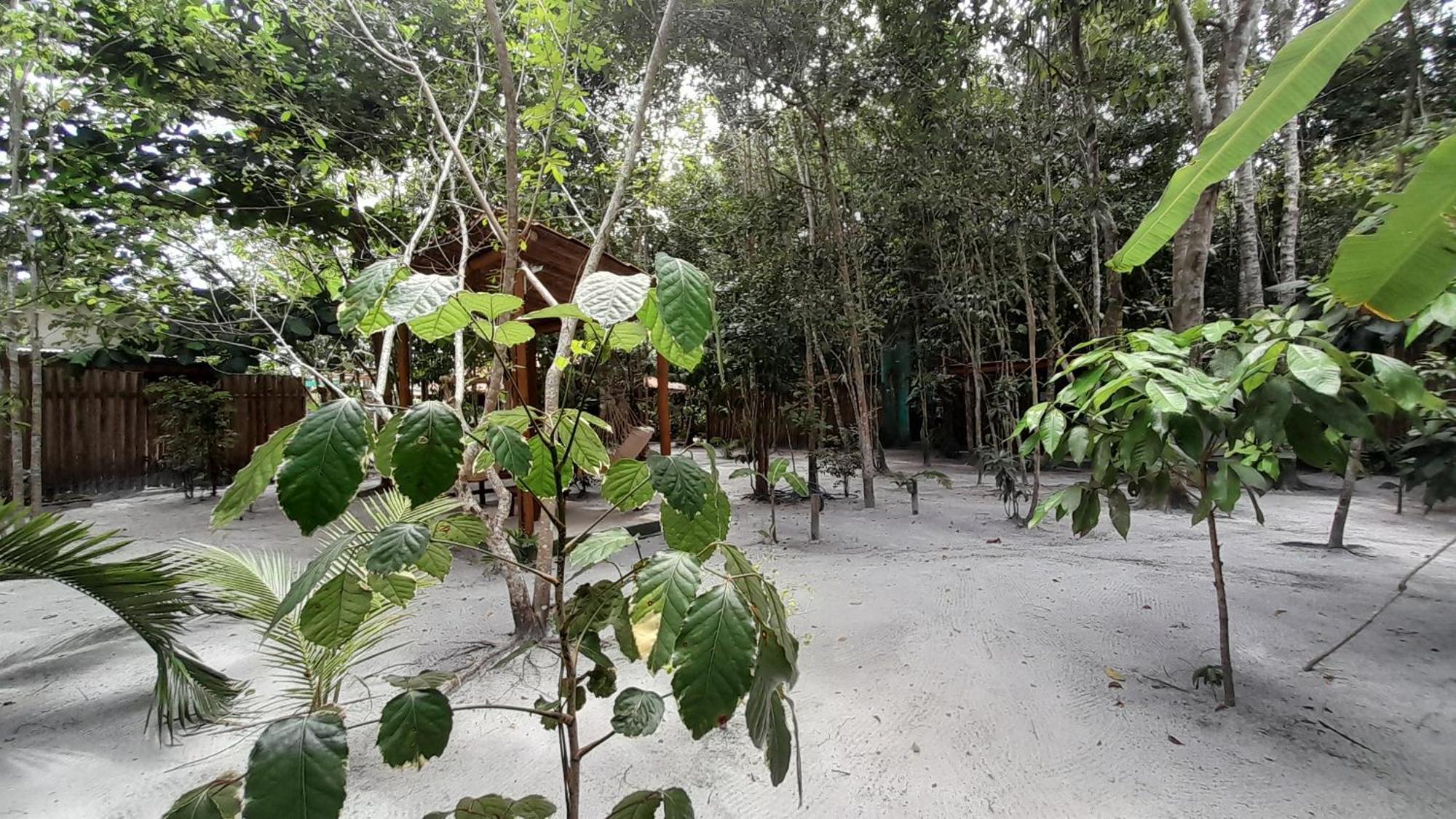 Chales Guigo-Cumuruxatiba, Sossego E Privacidade Exterior foto